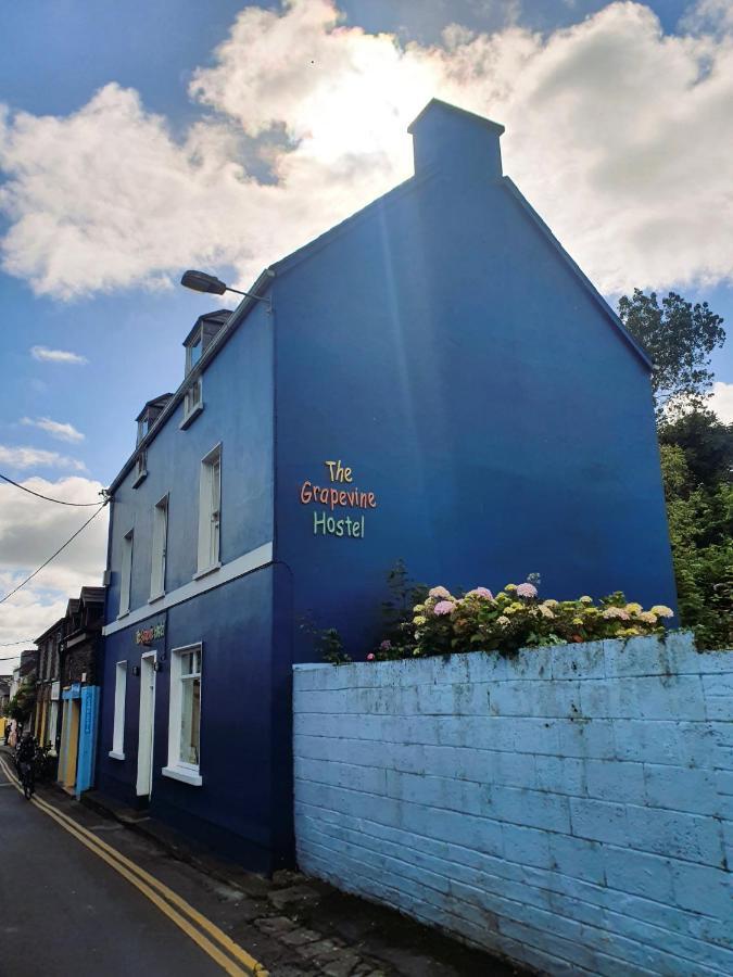 The Grapevine Hostel Dingle Kültér fotó