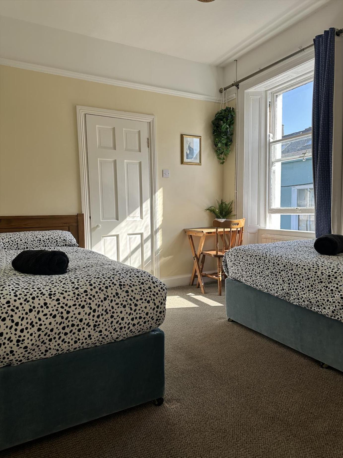 The Grapevine Hostel Dingle Kültér fotó